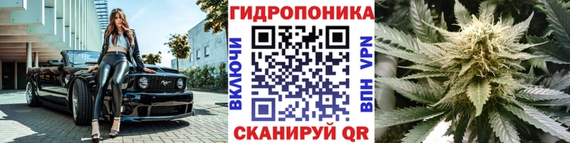 Каннабис индика  Искитим 